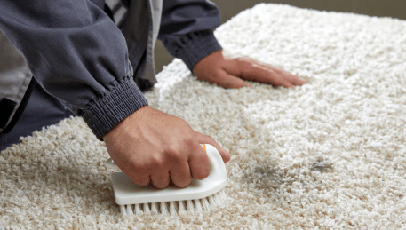 Professional Rug Cleaning Seville